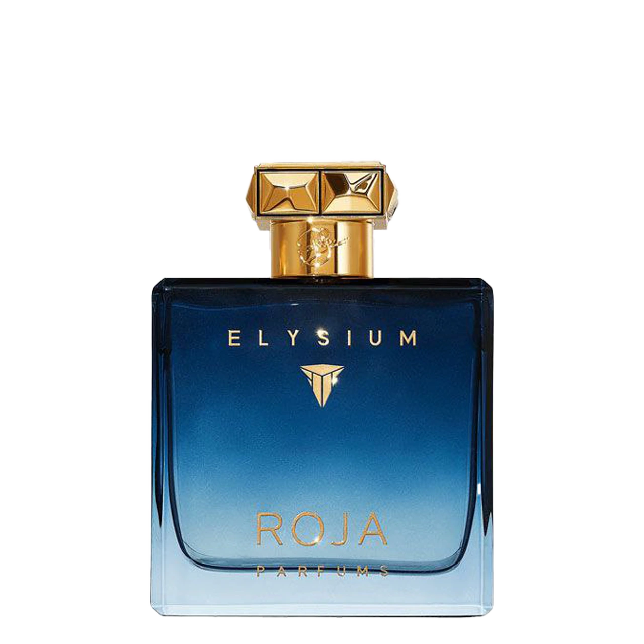 عطر ادکلن مردانه روژا مدل الیزیوم حجم 100 میل