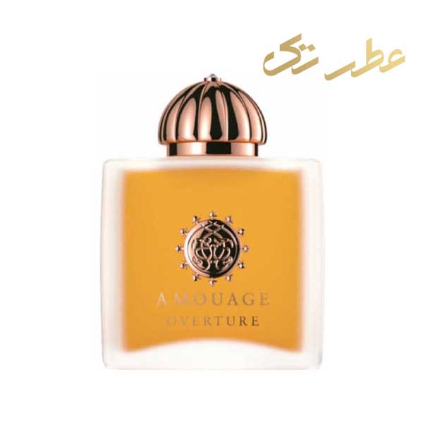 ادکلن آمواج اورتور زنانه | Amouage Overture Women (100 میل)